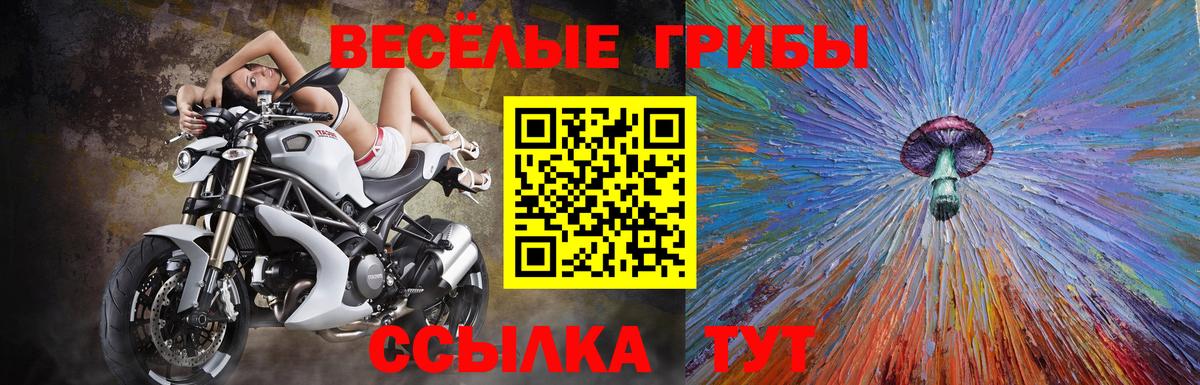 Галлюциногенные грибы GOLDEN TEACHER Усть-Джегута