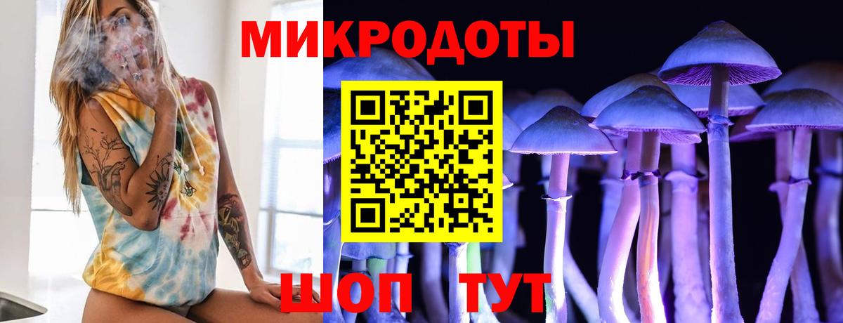 Усть-Джегута  Галлюциногенные грибы Psilocybine cubensis  Вход с VPN 